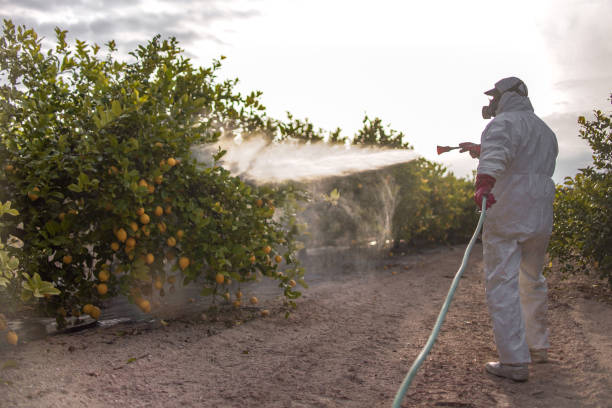 Pest Control Cost in Anson, TX