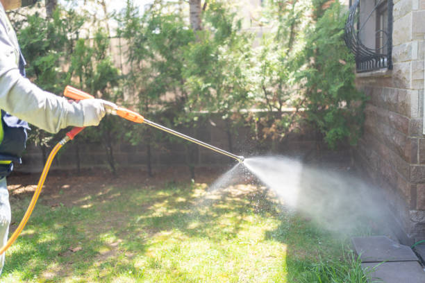 Best Pest Prevention Services  in Anson, TX