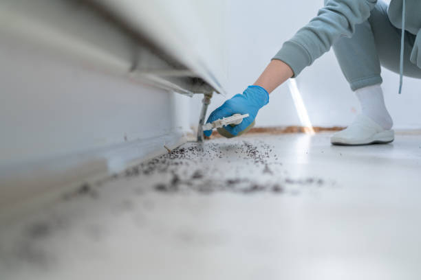 Best Commercial Pest Control Services  in Anson, TX